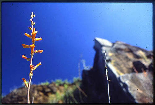 cr06060